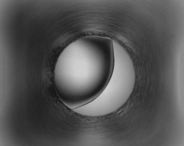 X0000088640822200705250917