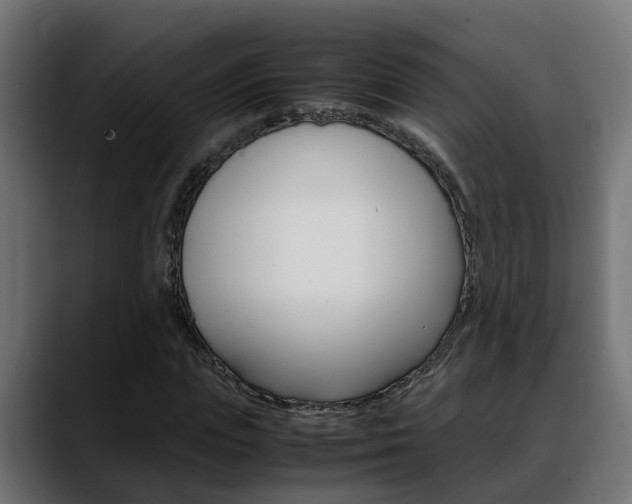 X0000088640823200705250917