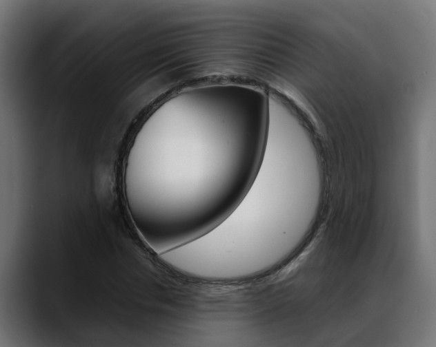 X0000088640826200705250917