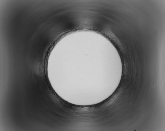 X0000088640828200705250917