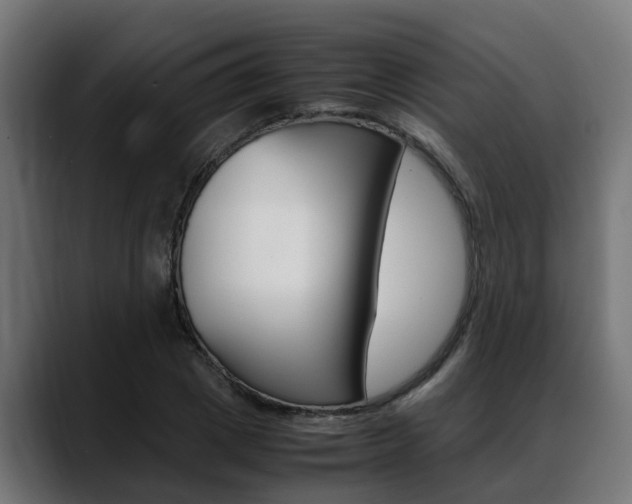 X0000088640833200705250917