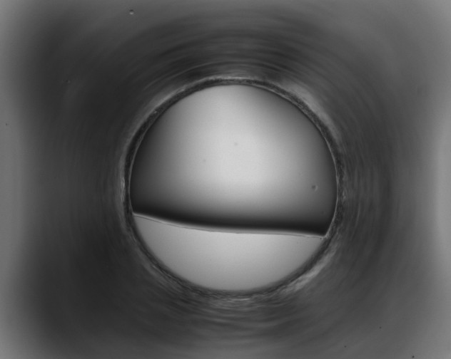 X0000088640837200705250917