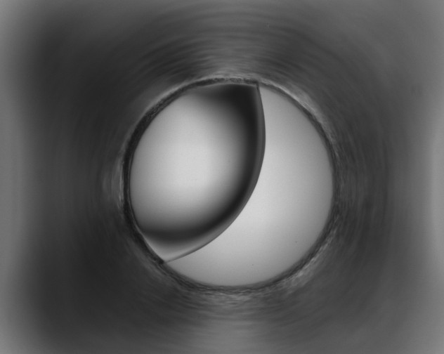 X0000088640838200705250917