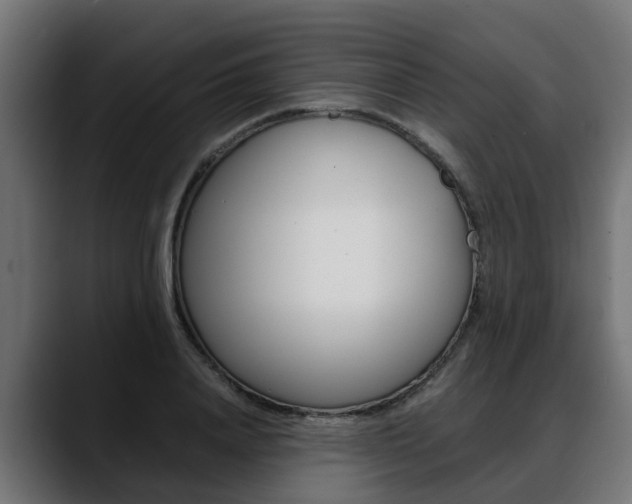 X0000088640840200705250917