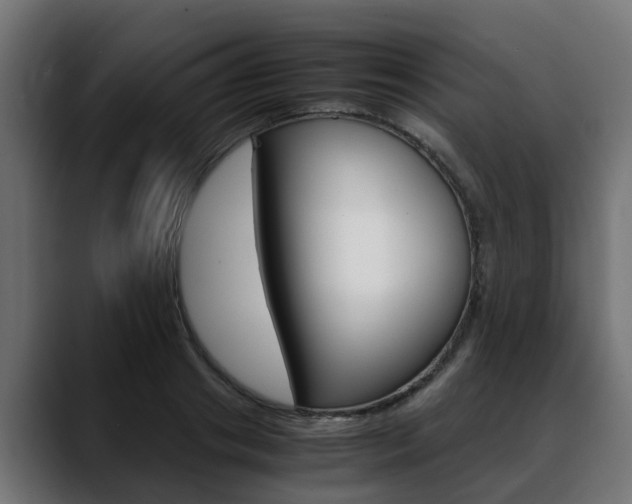 X0000088640841200705250917