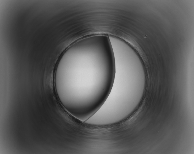 X0000088640842200705250917