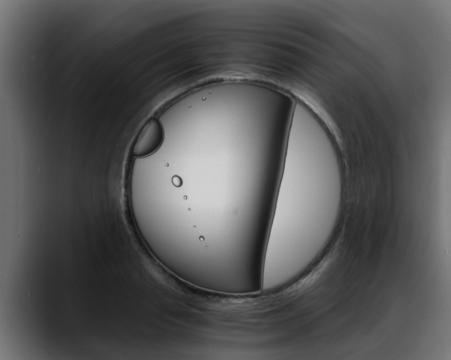 X0000088640845200705250917