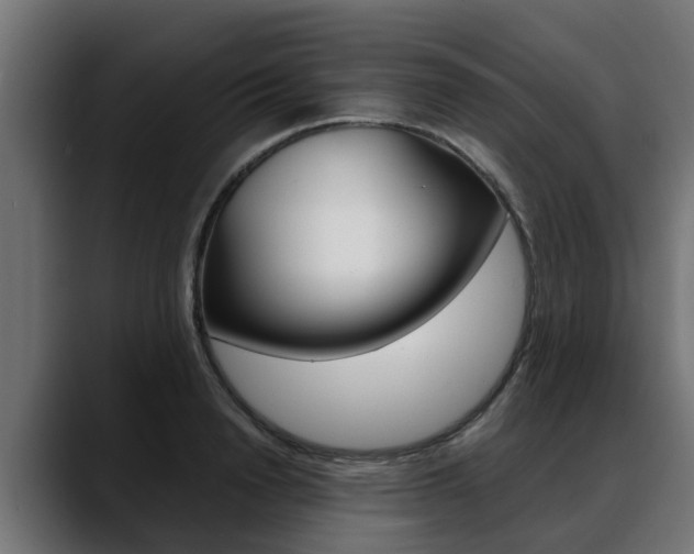 X0000088640846200705250917
