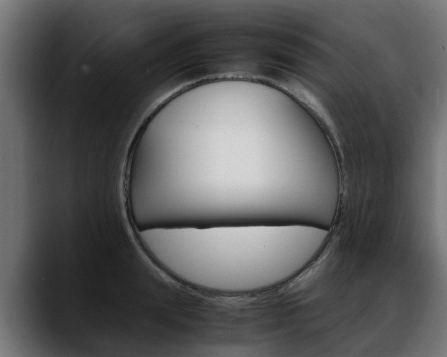 X0000088640847200705250917