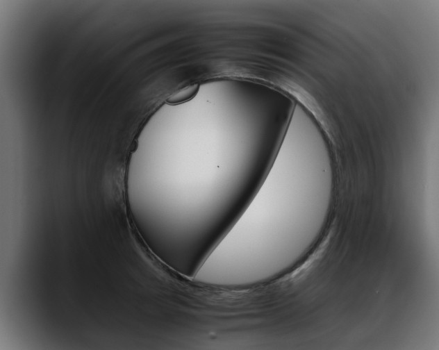 X0000088640849200705250917