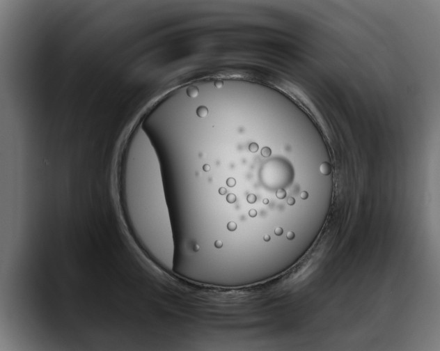 X0000088640851200705250917