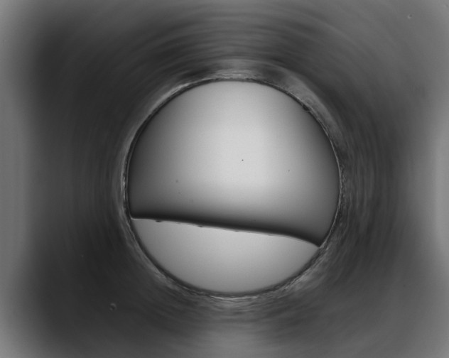X0000088640852200705250917