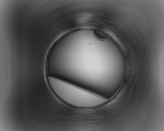 X0000088640853200705250917