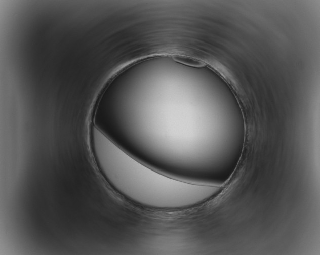 X0000088640854200705250917