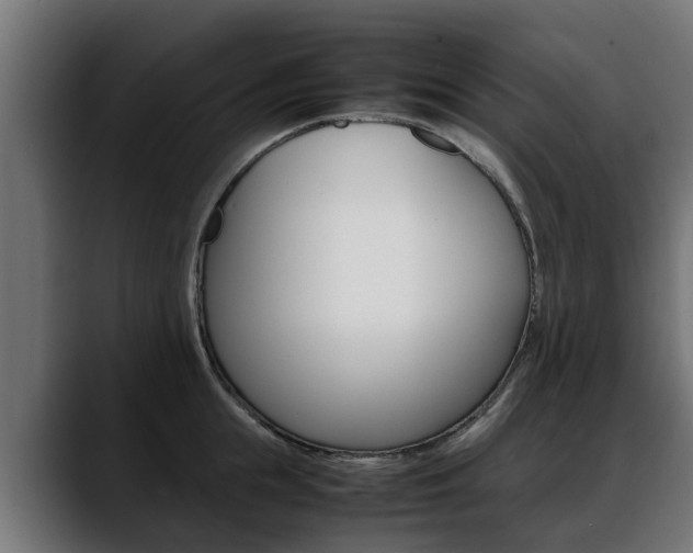 X0000088640855200705250917