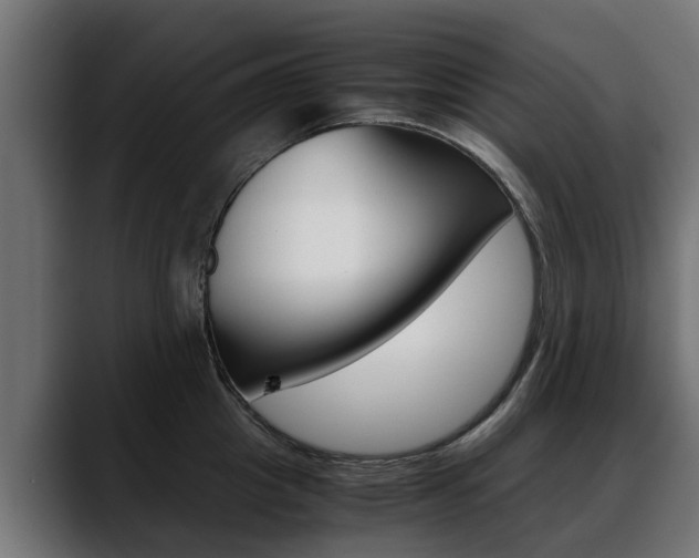 X0000088640857200705250917
