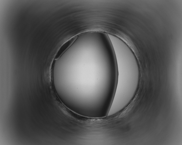 X0000088640858200705250917