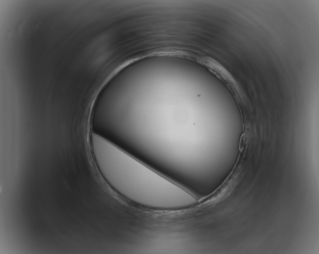 X0000088640860200705250917