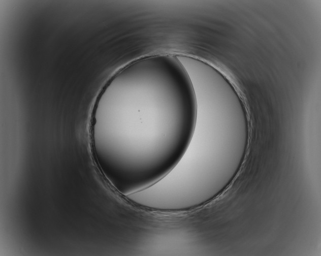 X0000088640864200705250917
