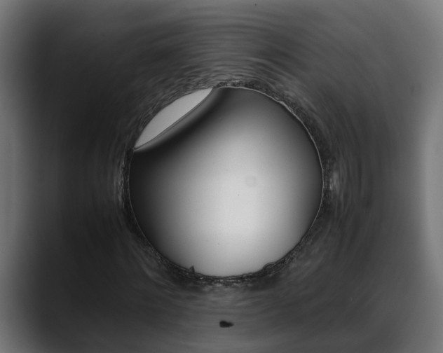 X0000088640868200705250916