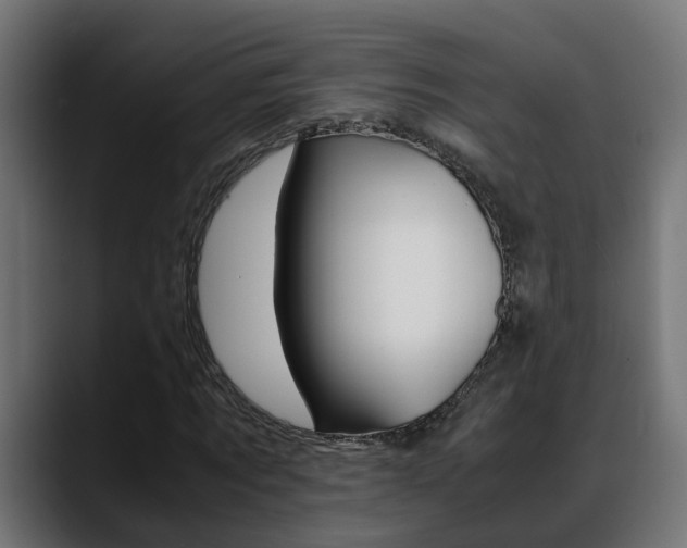 X0000088640869200705250916