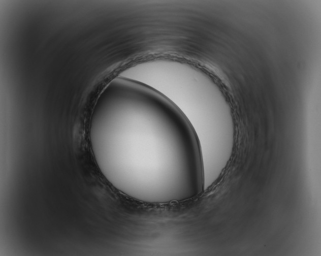 X0000088640872200705250916