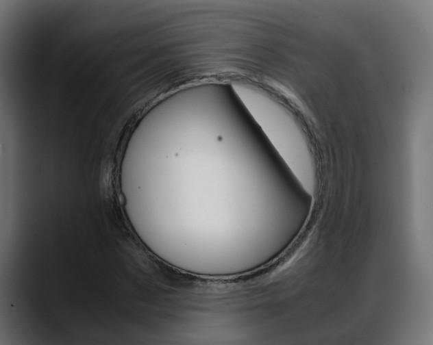 X0000088640873200705250916