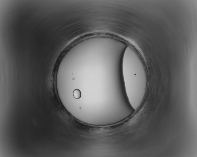 X0000088640879200705250916