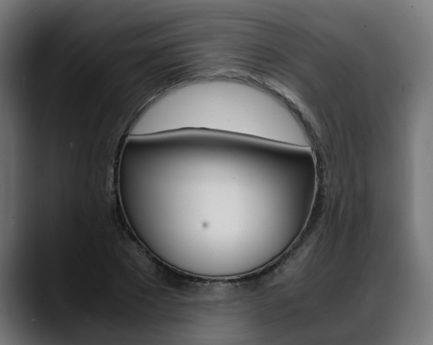 X0000088640881200705250916