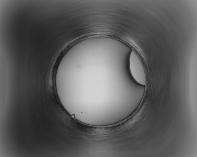 X0000088640883200705250916