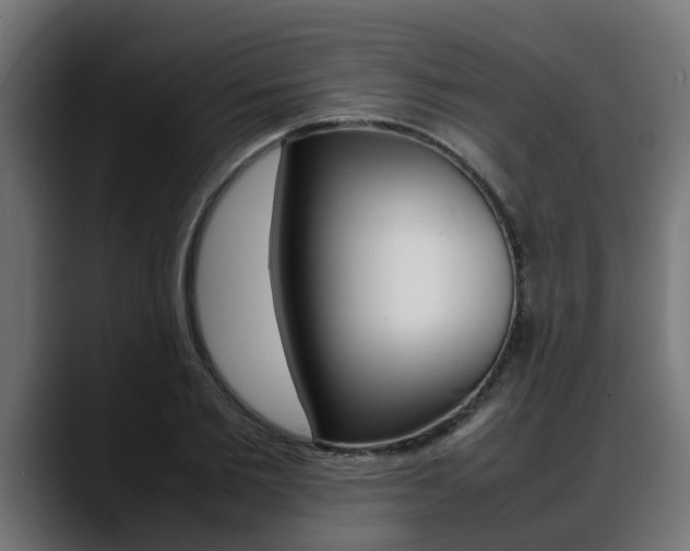 X0000088640885200705250916