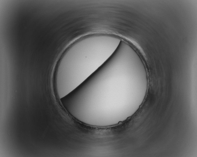 X0000088640887200705250916
