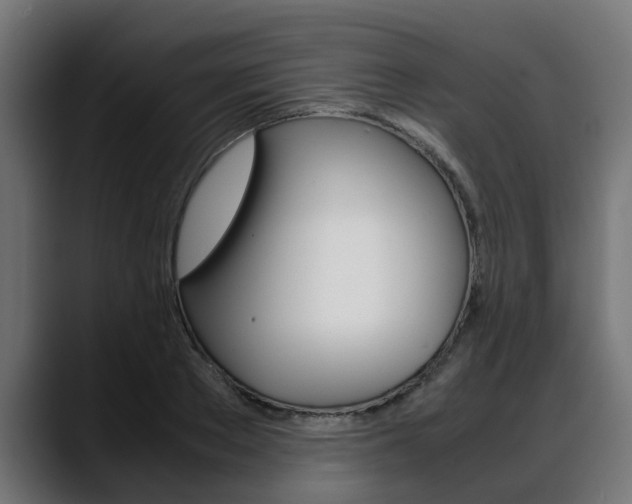X0000088640889200705250916