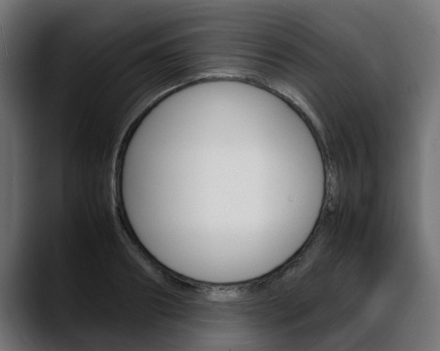 X0000088640890200705250916