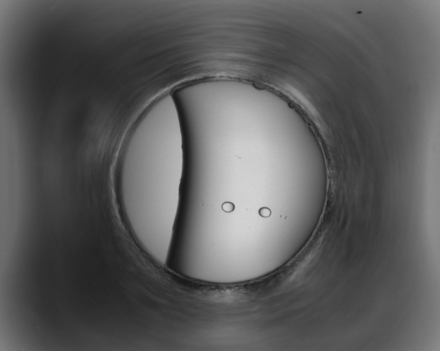 X0000088640891200705250916