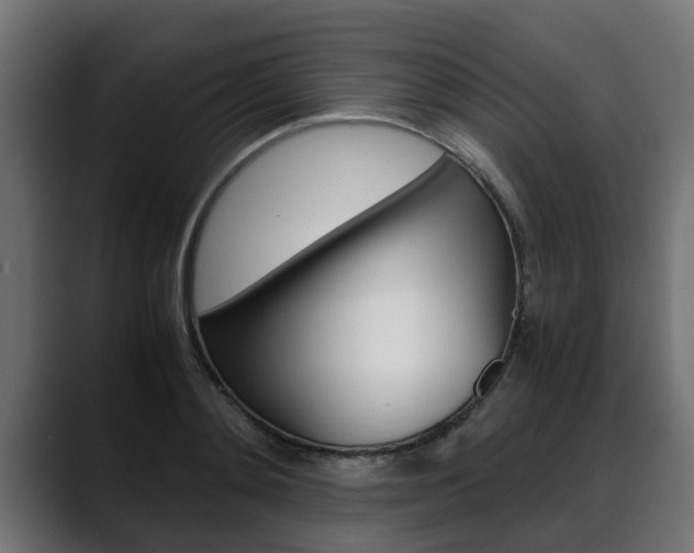 X0000088640892200705250916