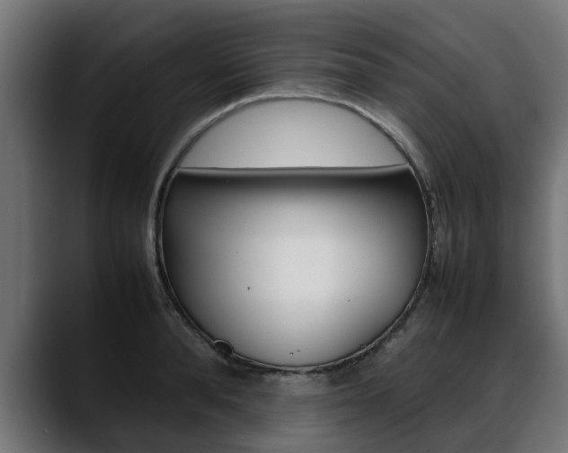 X0000088640896200705250916
