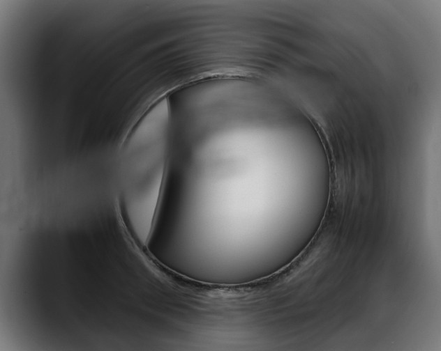 X0000088640898200705250916