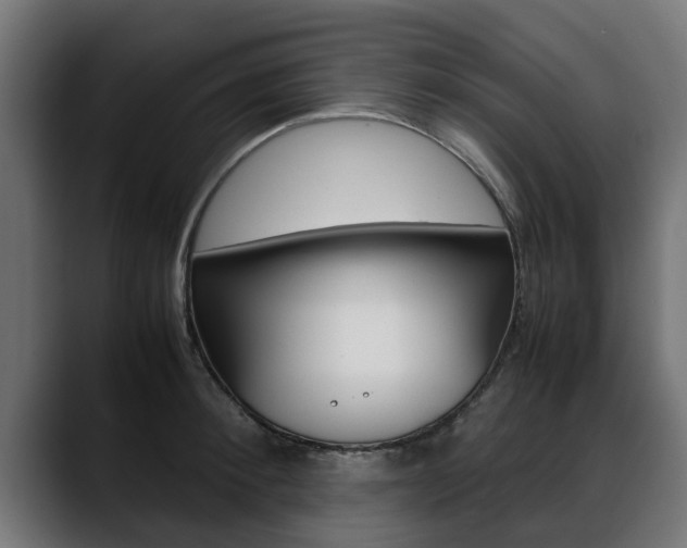 X0000088640900200705250916