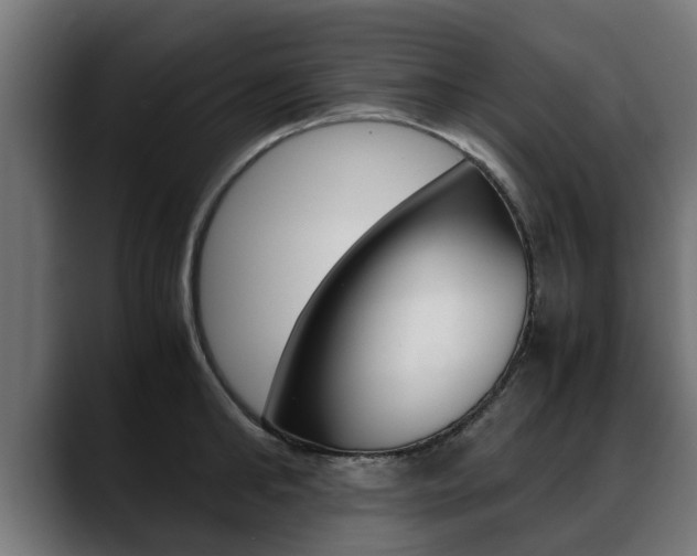 X0000088640902200705250916