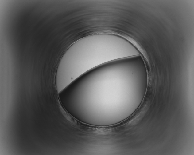 X0000088640905200705250916