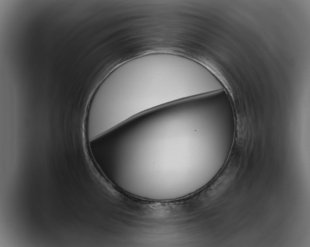 X0000088640906200705250916