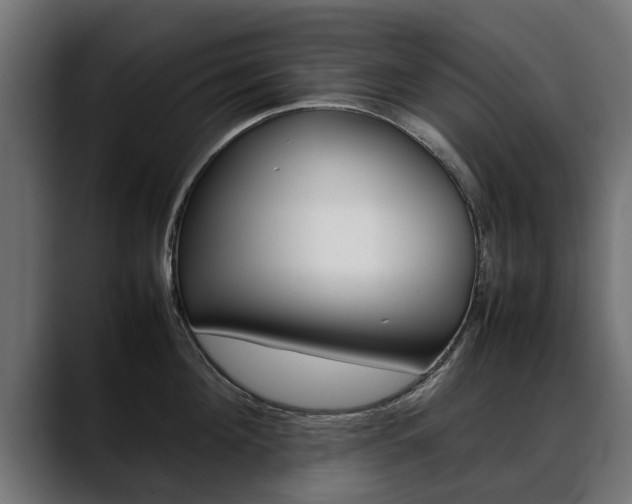 X0000088640908200705250916