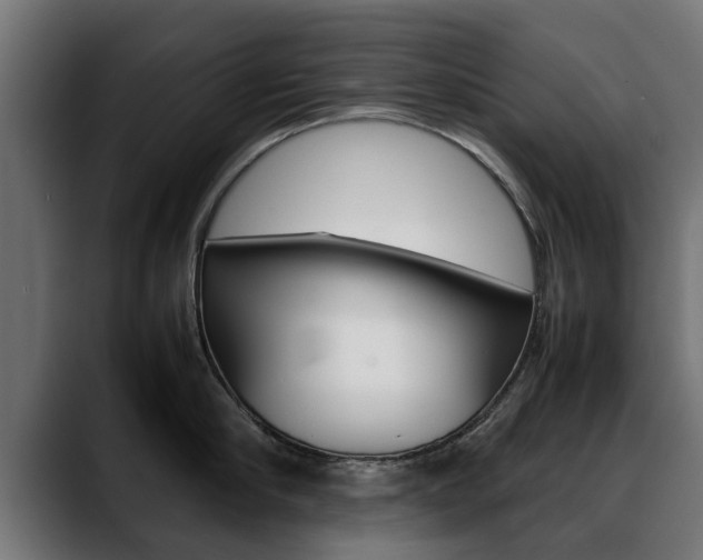 X0000088640910200705250916