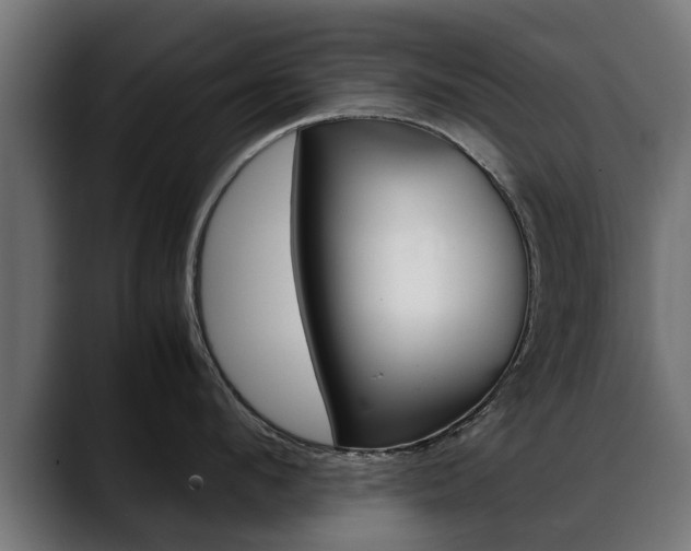 X0000088640912200705250916