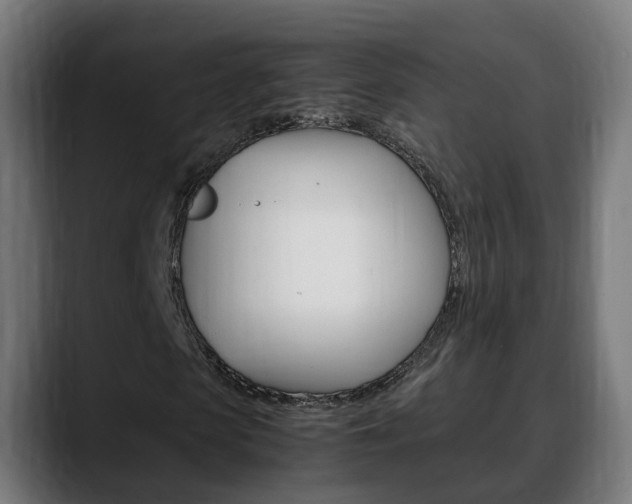 X0000088640913200705250915