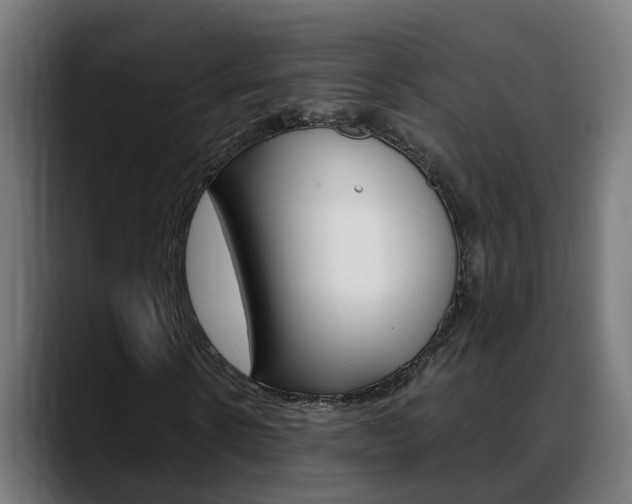 X0000088640914200705250915
