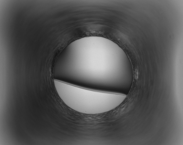 X0000088640915200705250915