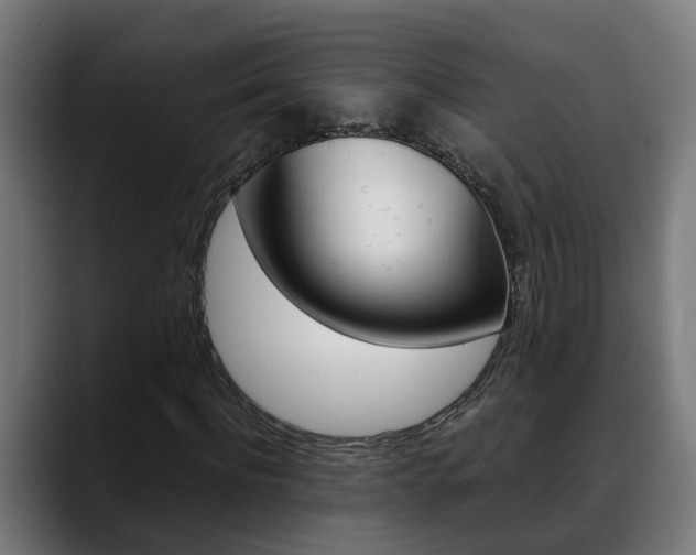 X0000088640916200705250915