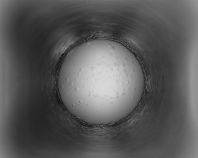 X0000088640917200705250915